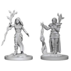 D&D Unpainted Minis (Wave 02) - Human Female Druid